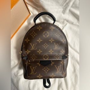 Louis Vuitton - Monogram Palm Springs Mini
